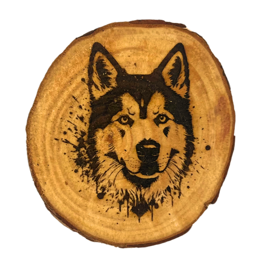 Husky Coaster
